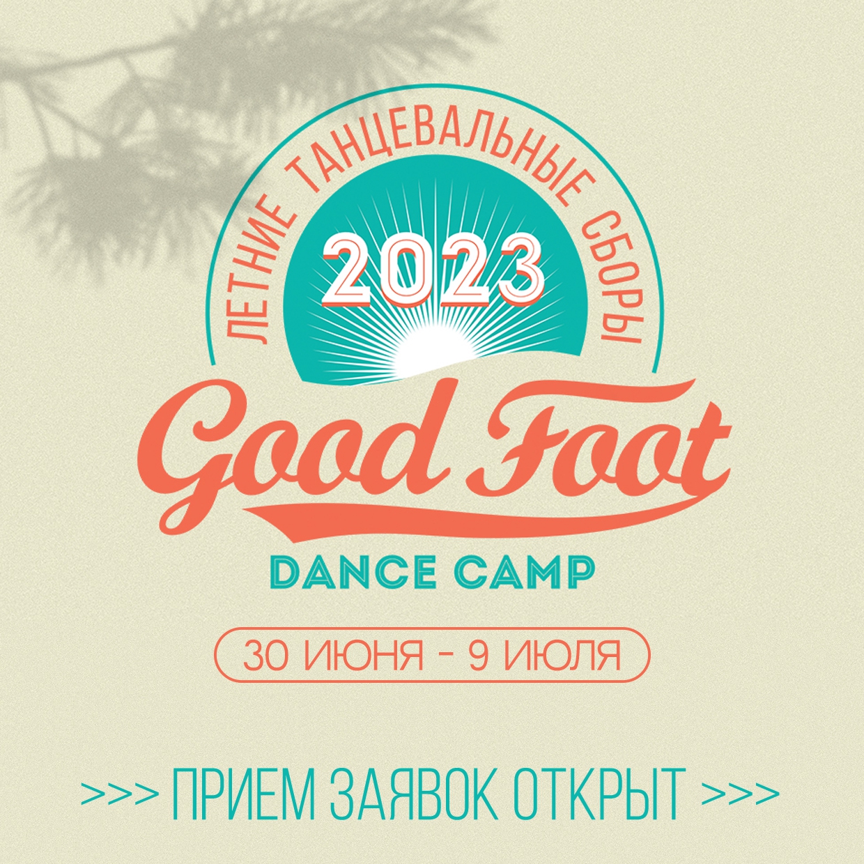 Открыт прием заявок в Летний танцевальный лагерь 2023